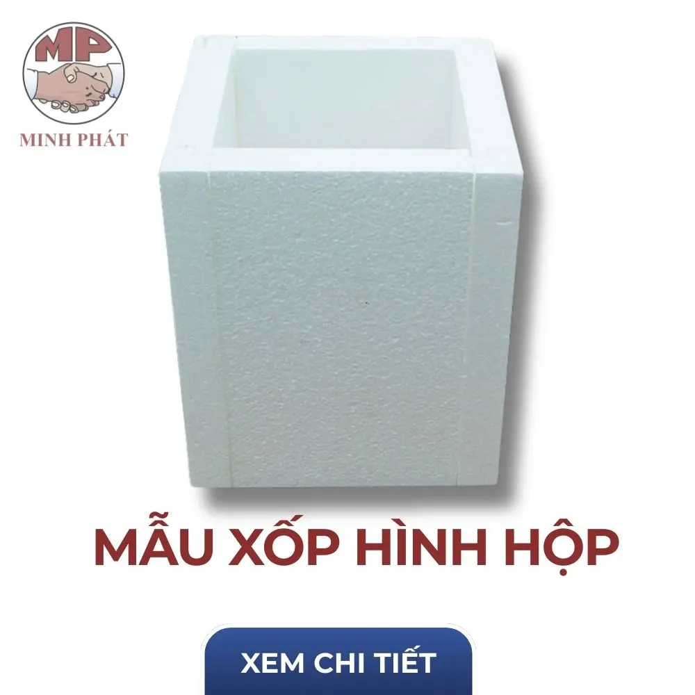 Xốp Định Hình Cố Định Bảo Vệ Các Loại Rượu