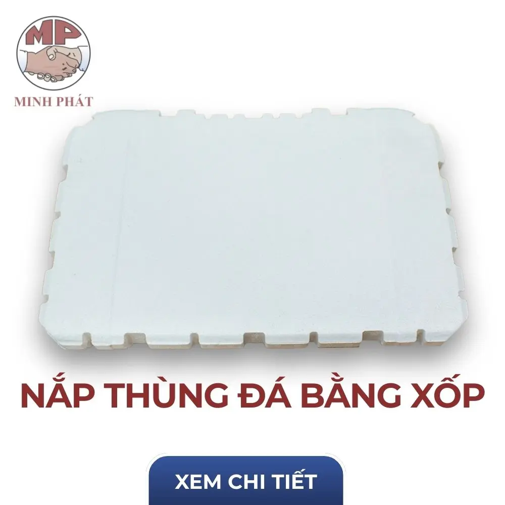 Nắp Thùng Đá Bằng Xốp